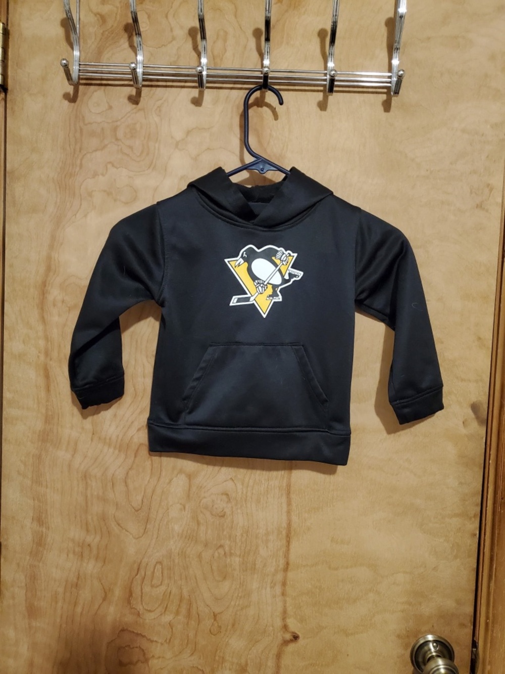 #699 Pittsburgh penguins hoodie